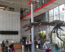 California Academy of Sciences