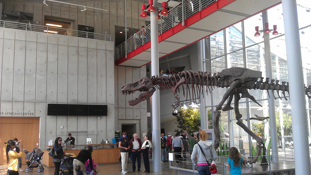 California Academy of Sciences