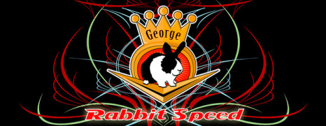Rabbit Speed 2011